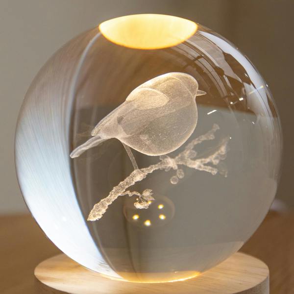 Samuel Alexander 10cm USB Powered Light Up Christmas Decoration 3D Robin Glass Globe
