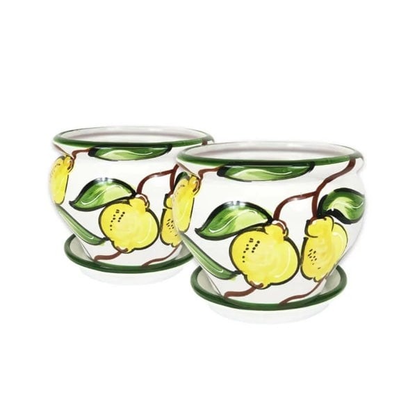 Verano-Ceramics-Lemon-Bola-Plant-Pots-with-Drainage-Plates