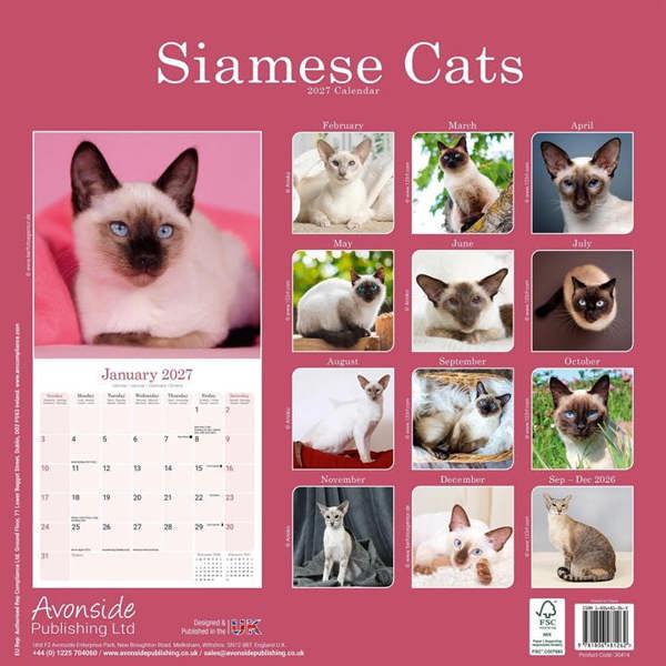 Siamese Cats Calendar 2027, Wall Calendars, Month To View, Cats, Gift