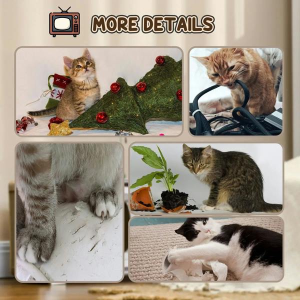 TV-shaped cat scratching board with hanging toy rat and multiple scratching areas