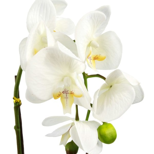 Leaf 46cm Artificial Orchid White with Silver Pot