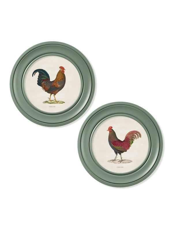 Exceptional Art c.1838 Junglefowl in Round Frames Green