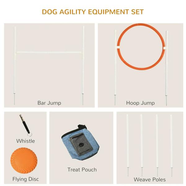Dog agility equipment set diagram: whistle, flying disc, treat pouch, hoop, and weave poles