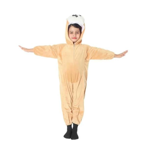 Bristol Novelty Childrens/Kids Squirrel Costume Set - Orange/White - 