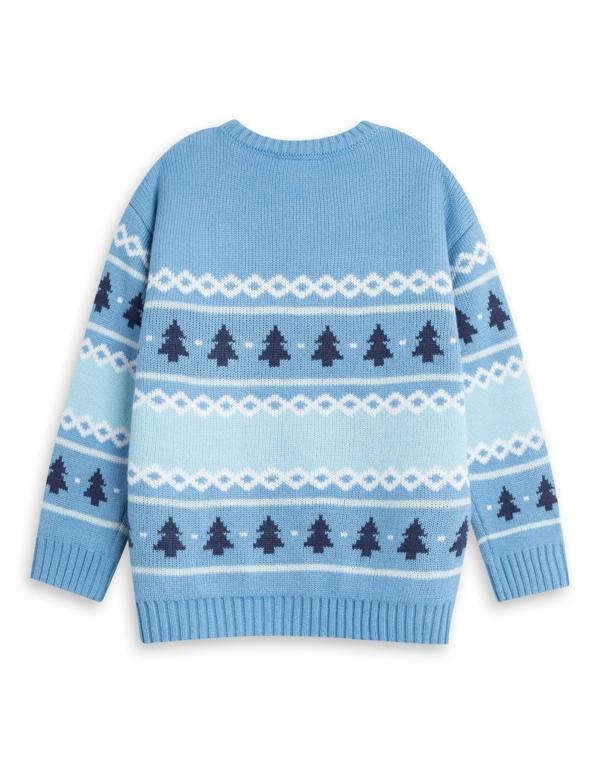 Bluey Boys Blue Character Christmas Jumper