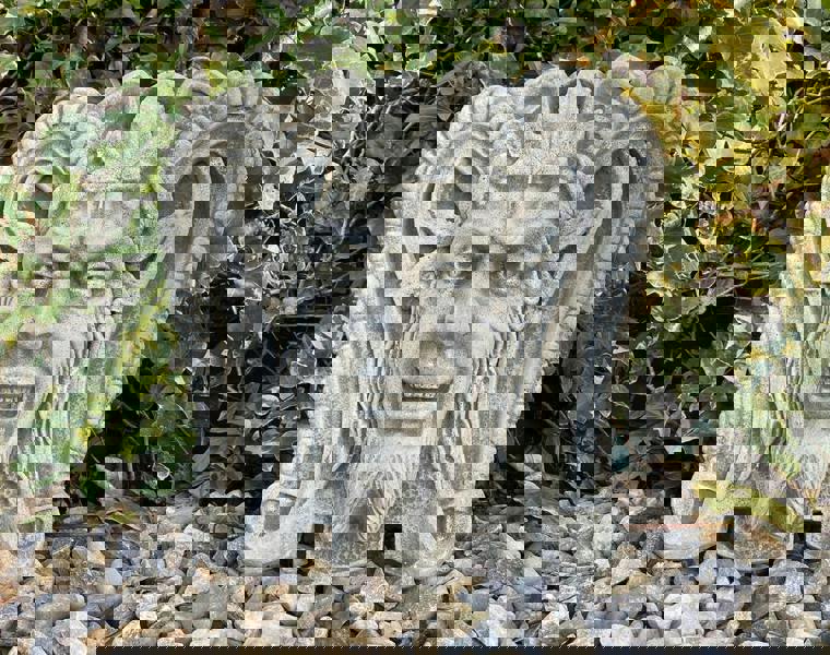 Devil Head Stone Wall Plaque