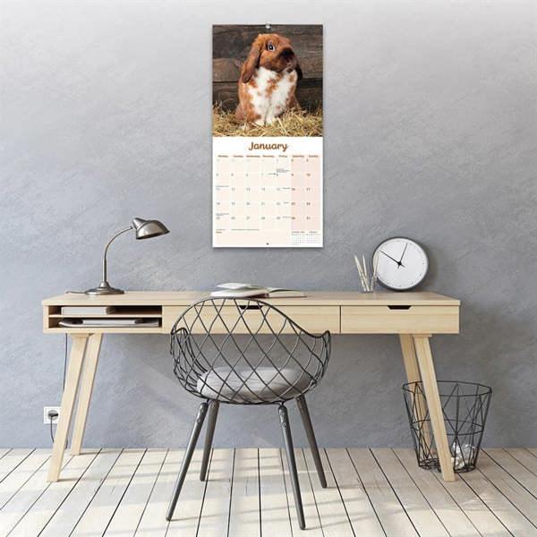 Lop-Eared Rabbits Calendar 2027, Wall Calendars, Month To View, Animals, Gift