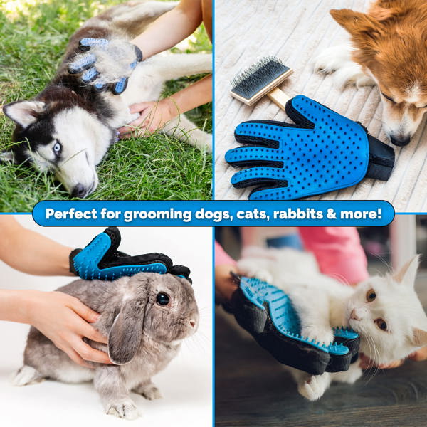 Pretty Pooch Dog Crate Small Cage Puppy Cat Pet Training Tray and Bed With Two Gloves