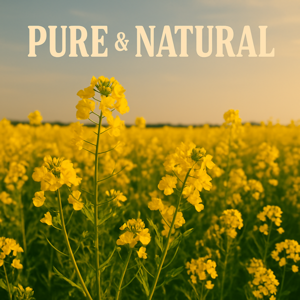 Purillo Rapeseed Oil - Cold-Pressed | GMO-Free & Glyphosate-Free