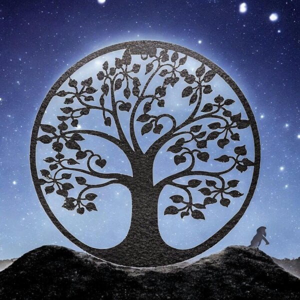 EDH Door Hardware Tree of Life Silhouette Solar Backlit Wall Art – 50 x 50 CM | Metal LED Lighted Wall Décor for Indoor & Outdoor