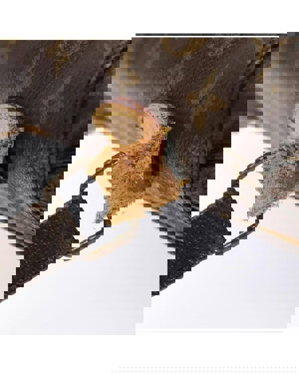 193972541.jpg