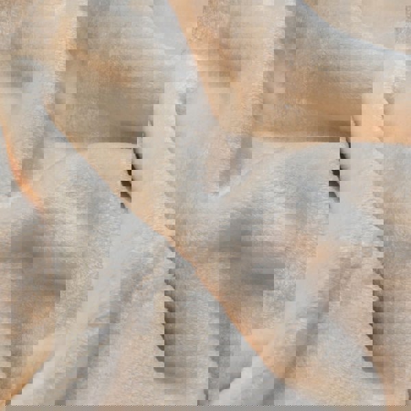 Snug City Soft & Warm Mink Throw Blanket