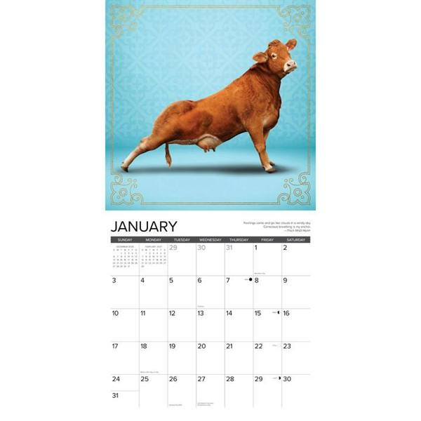 Cow Yoga Calendar 2027, Wall Calendars, Month To View, Humour, Gift