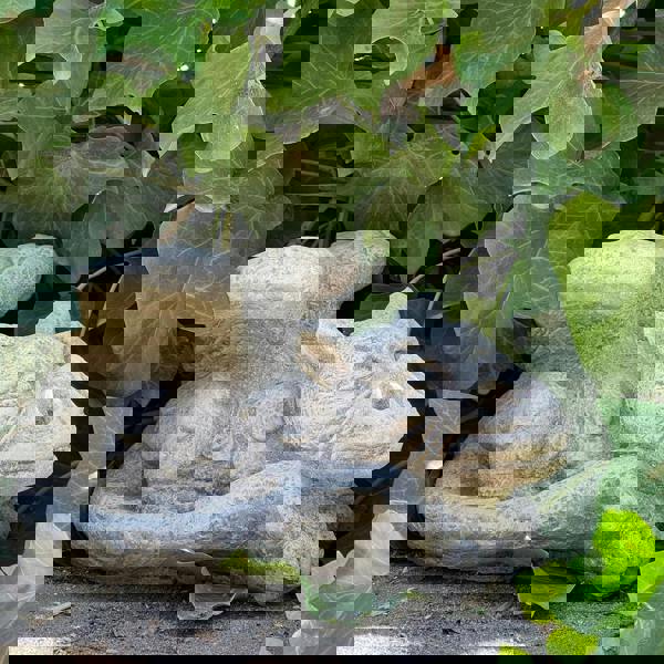 Enchanting  Dreaming Dragon Stone Cast Statue Small Outdoor Ornament Garden Sculpture