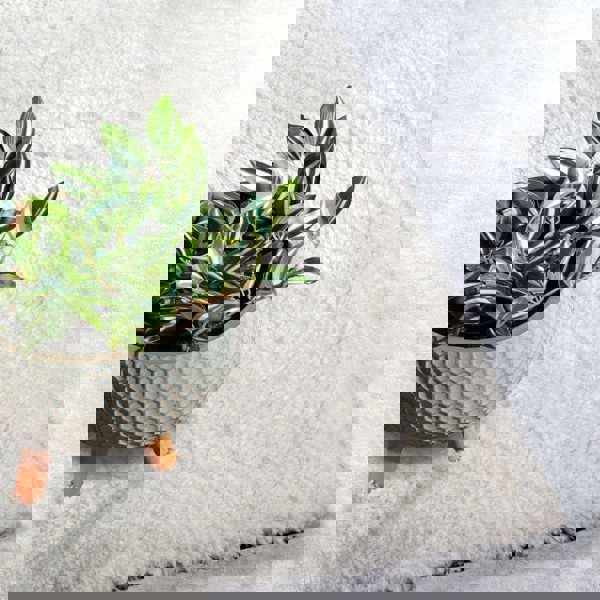 Myk Olaf High Pile Rug Plain Design