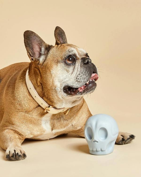 Barc London Skully Squeaky Dog Toy