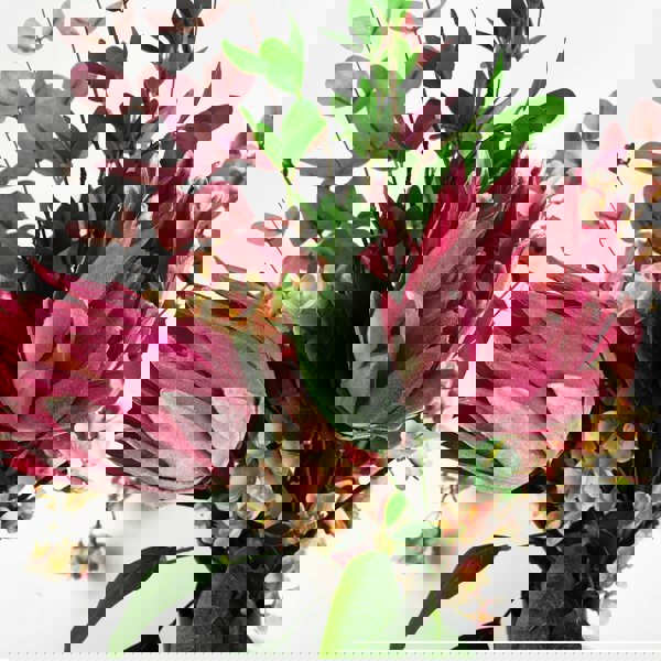 Leaf 80cm Pink Eucalyptus Foliage Stem