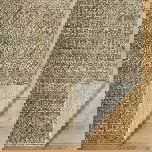 Livabliss Galey Alix Myrtle Avenue-Vintage Brown Green Grey Traditional Boho Fringe Rug