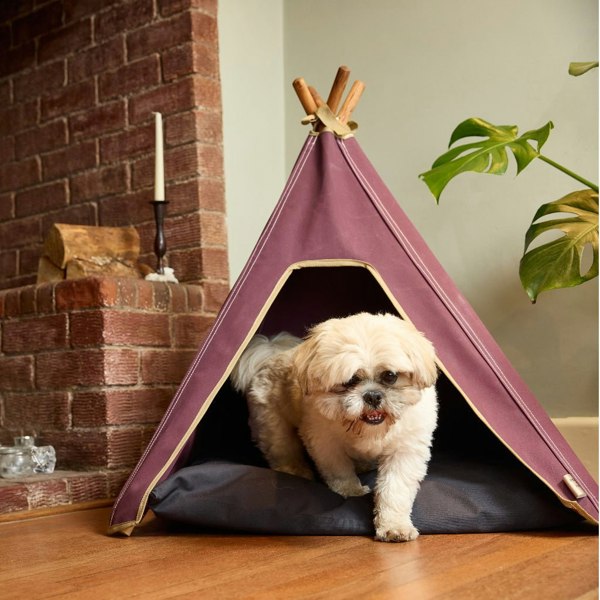 Dog Teepee - Pooch and Paws