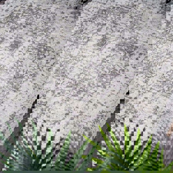 Living Room Rug Medallion Design in Grey