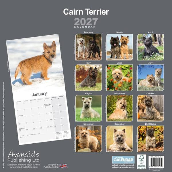 Cairn Terrier Calendar 2027, Wall Calendars, Month To View, Dogs, Gift