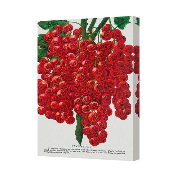 Benjamin Tate Design Red Currant Canvas Wall Art Print On A Deep Wooden Frame UK Handmade