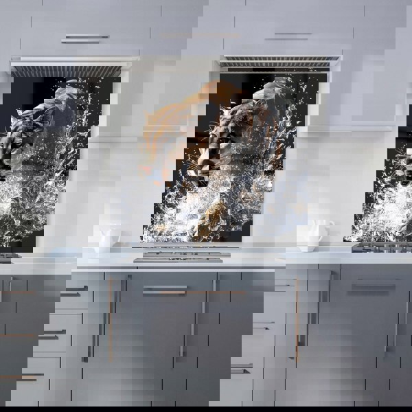 Warren Reed - Designer Puma's Determined Splash Kitchen Splashback