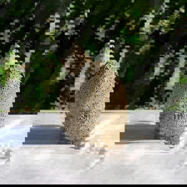 Small Stone Cast Velociraptor Garden Sculpture Dinosaur Animal Statue