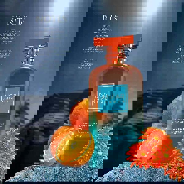 Anfar London Midnight Frost Tangerine Extrait 100ML fragrance notes graphic