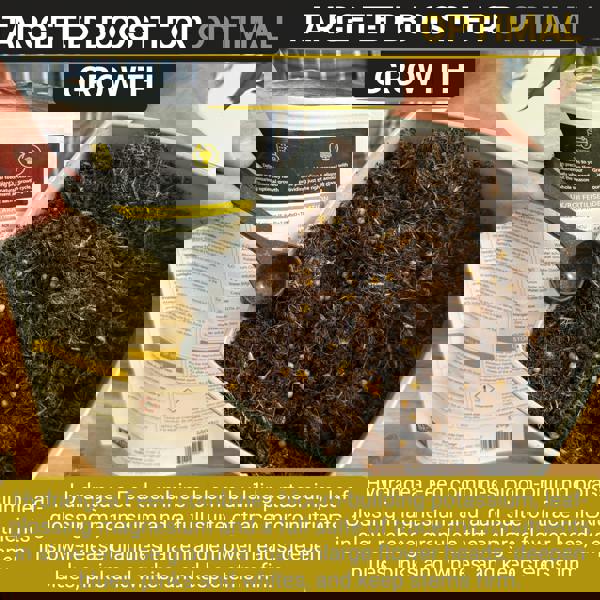 Bronte Heritage Hydrangea Feed – Controlled-release 120g granules for borders, pots & containers, Strong stems, vibrant blooms & healthy growth