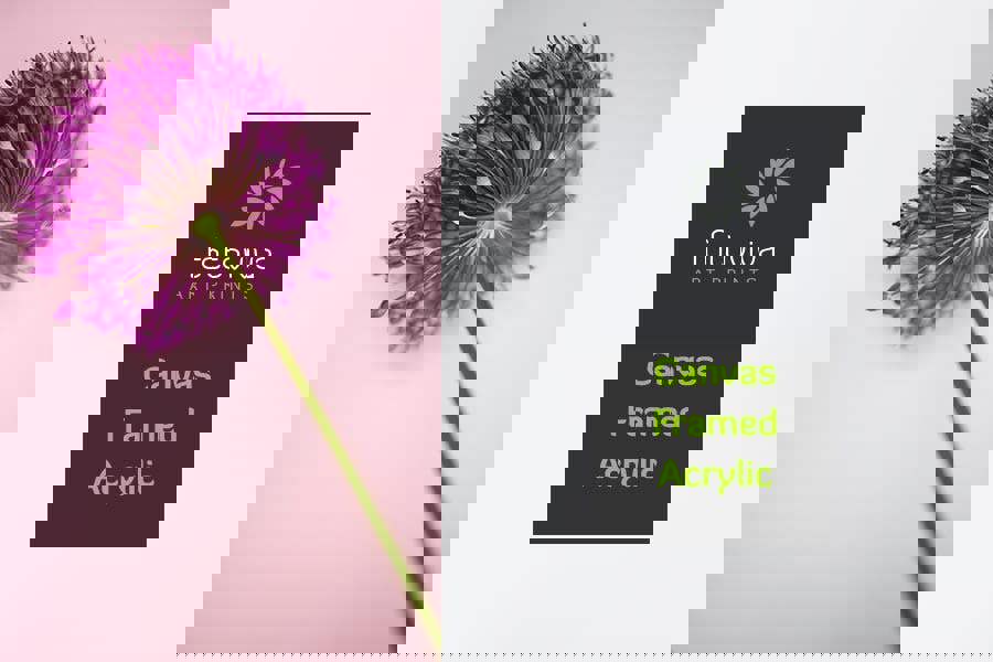 pink allium photographic art print