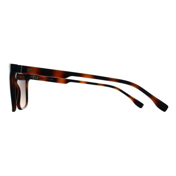 Lacoste Sunglasses L6041S 214 Havana Brown Gradient