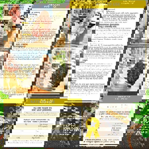 Bronte Heritage Acer Fertiliser – Controlled-release granules for Japanese Maples in borders, pots & containers, 120g