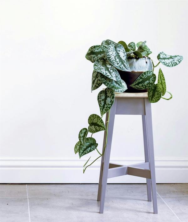 Statement Furniture Florence Wooden Plant Stand Plant Holder 50cm Tall ASSEMBLED