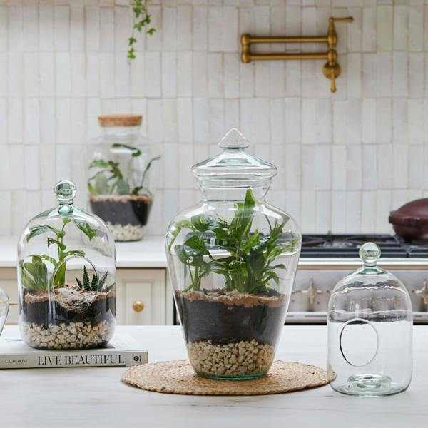 Ivyline Glass Bell Jar Open Terrarium