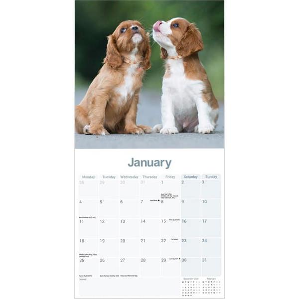 Cavalier King Charles Spaniel Calendar 2027, Wall Calendars, Month To View, Dogs, Gift