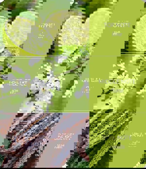 Heart & Home Lime Splash - 2 Wick Ellipse Candle