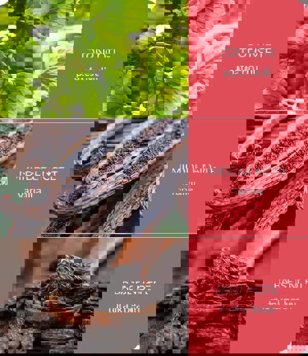 Heart & Home True Enchantment - Wax Melt