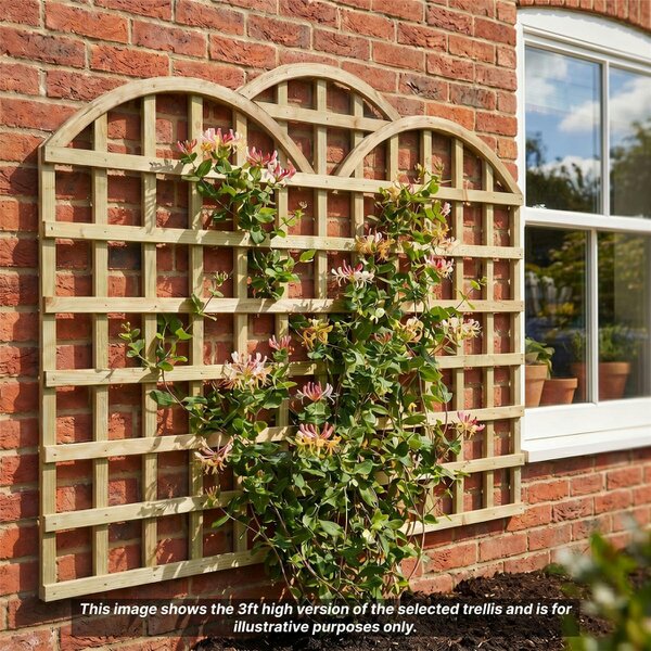 Premier Garden Supplies Standard Triple Dome Top Fence Panel Topper 6ft x 1-5ft Garden Trellis Decorative Cloud Lattice Privacy Divider - Wood - 3, 4 or 5 - 3 Pack Height: 4ft x Width: 6ft (182.8cm) x 3 Pack