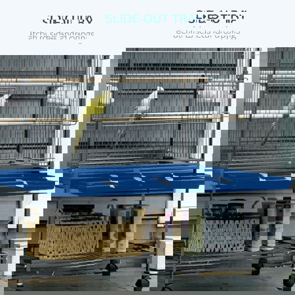D10-075CG