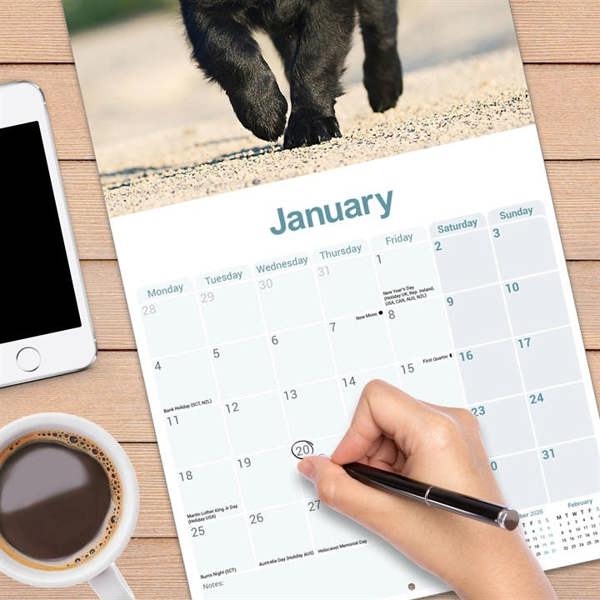 Flat Coated Retriever Calendar 2027, Wall Calendars, Month To View, Dogs, Gift