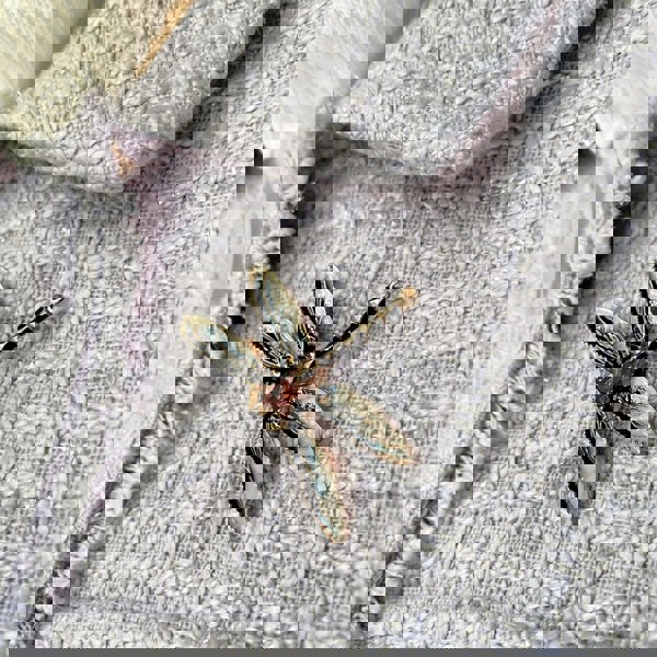 dragonfly brooch in black enamel