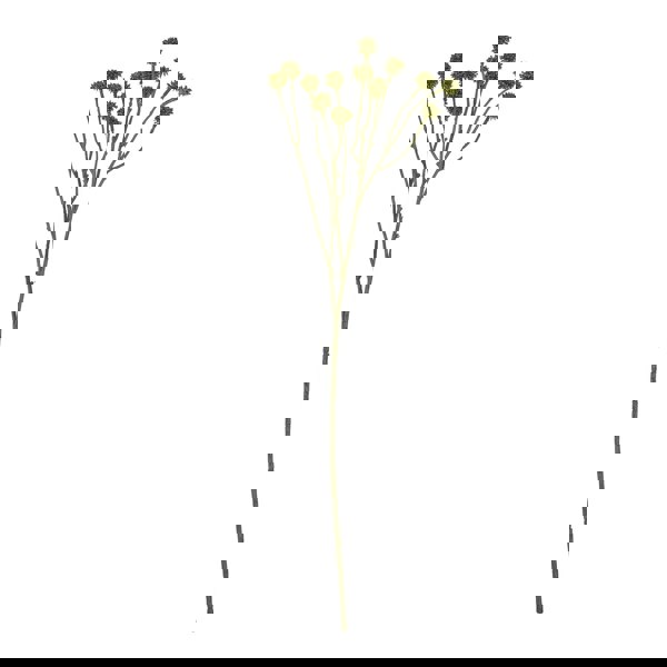 Hill Interiors Craspedia Artificial Plant - Green