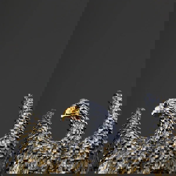 Eagle Statue Resin Ornament - Home & Office Decor Symbolising Wealth, Freedom, and Power | Unique Birthday or Valentine Gift