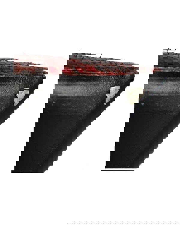 163170919.jpg