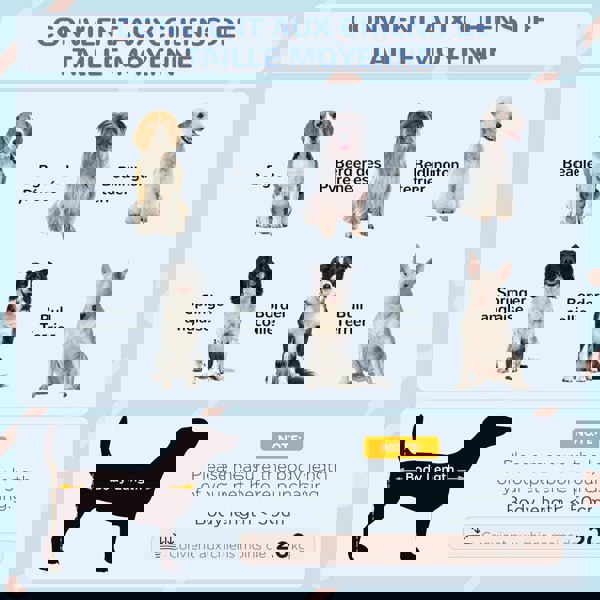 D02-174V00GY