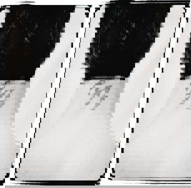 Foo Fighters 'There Is Nothing Left To Lose' 2LP Black Vinyl