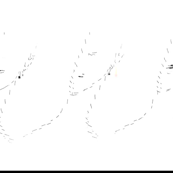 135E1289079 Classic Oval Garnet Drop Earrings in 9ct Yellow Gold 3