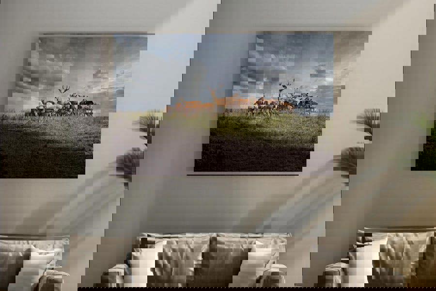 Scottish highland deer photographic artwork