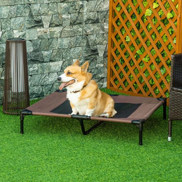 Elevated Dog Bed
